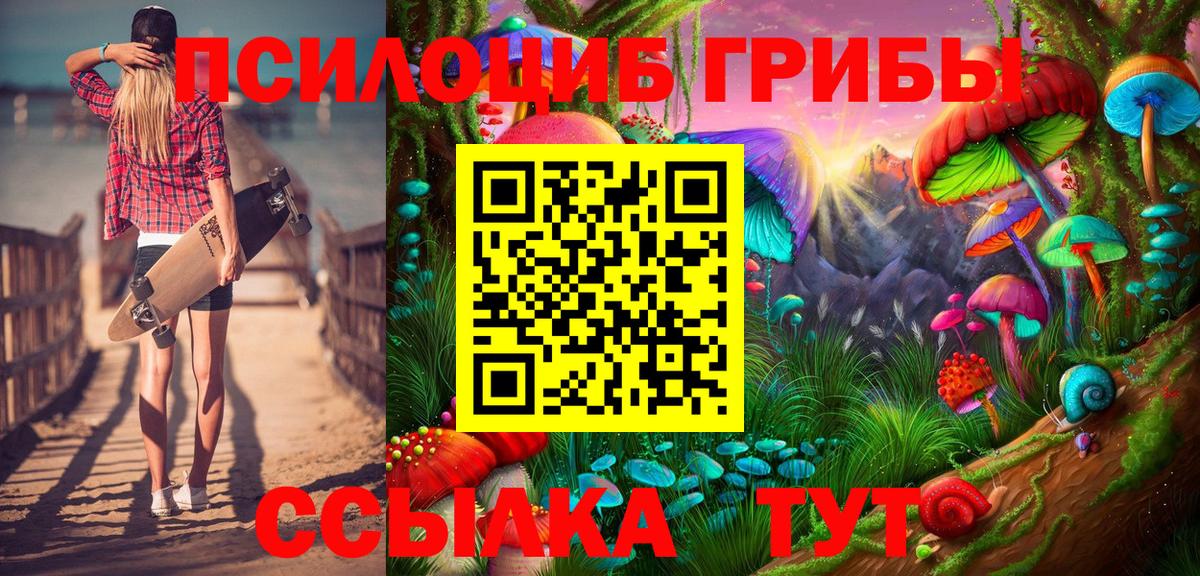 Псилоцибиновые грибы Psilocybe  Вход с VPN  Ливны  Псилоцибиновые грибы мицелий 