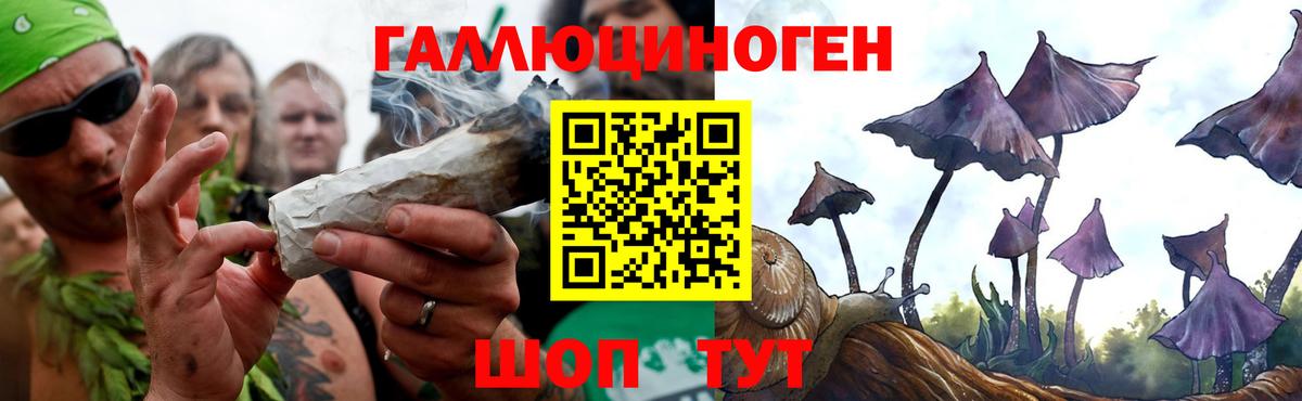Галлюциногенные грибы Magic Shrooms Ливны